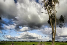 九游会：贝蒂斯2-1逆转，曼联弃将安东尼被摔倒旋转360度倒地，伊斯科妙传.