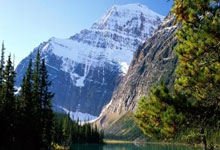 [CBA]南京头排苏酒击败辽宁本钢.