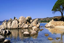 弈客签约 ｜ 棋盘上的敏锐力：上将丁浩胜负处斩杀对手于无形.